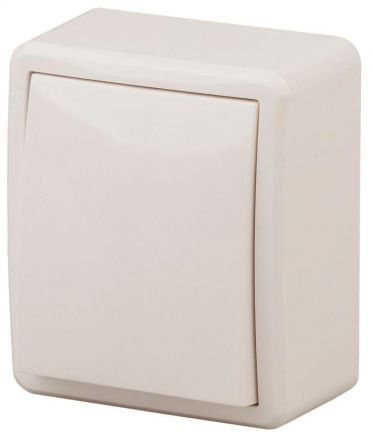 Выключатель, 10АХ-250В, ОУ, Эра Эксперт, сл.кость,11-1201-02